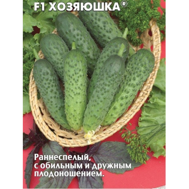 ХОЗЯЮШКА