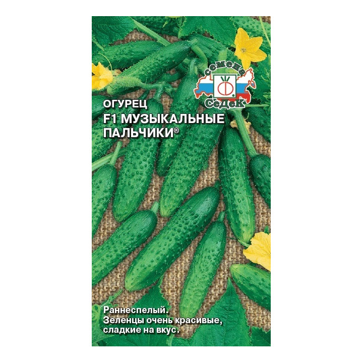 МУЗЫКАЛЬНЫЕ ПАЛЬЧИКИ