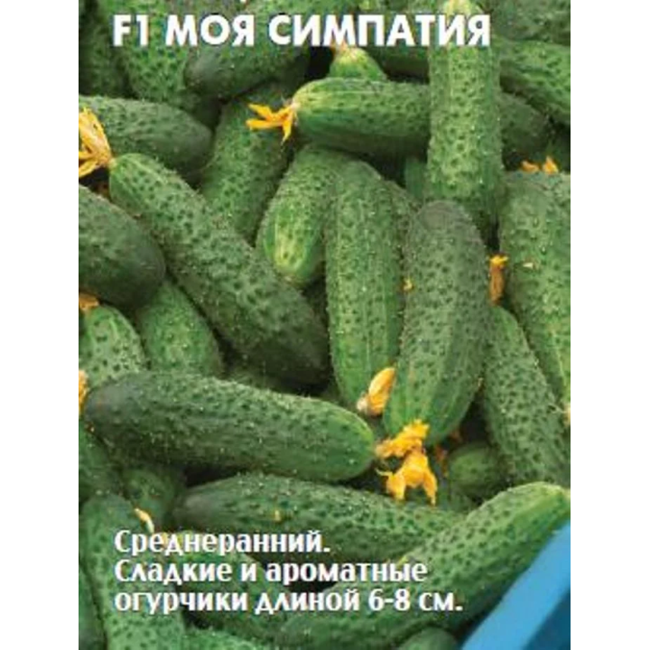 МОЯ СИМПАТИЯ