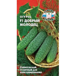 ДОБРЫЙ МОЛОДЕЦ