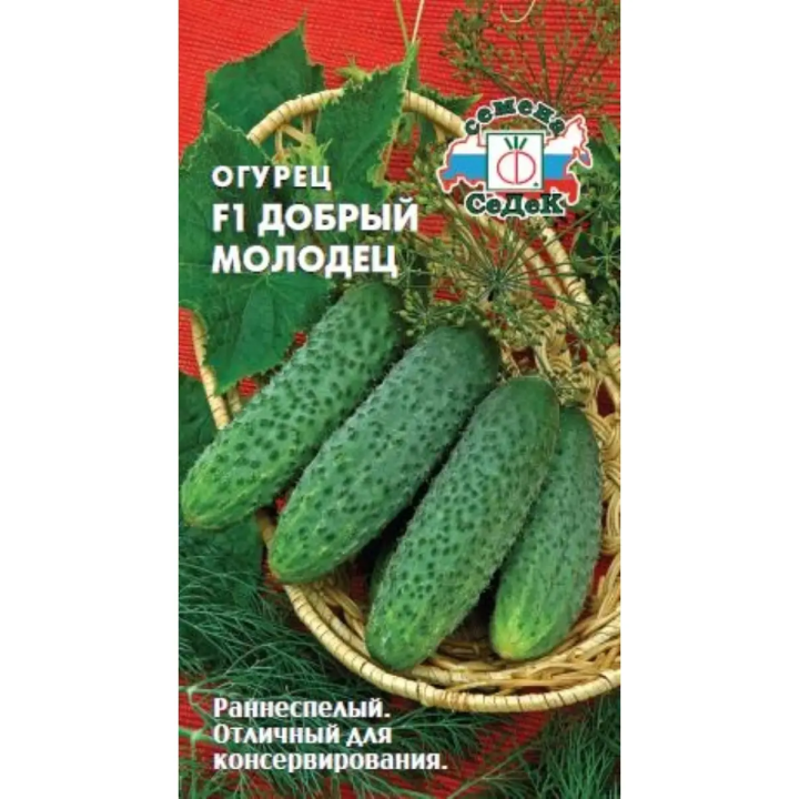 ДОБРЫЙ МОЛОДЕЦ