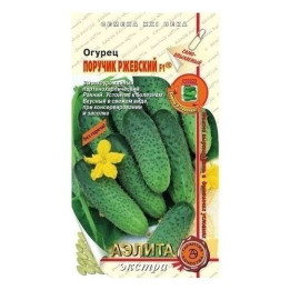 ПОРУЧИК РЖЕВСКИЙ