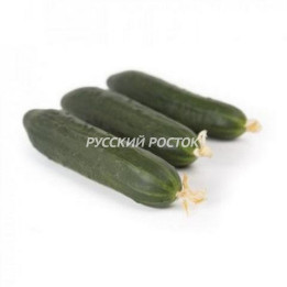 ДЕМАРРАЖ