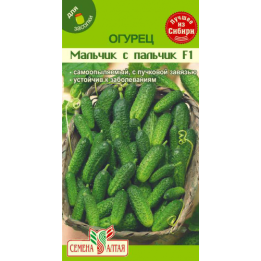 ПАРЕНЕК