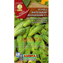 МАЛЕНЬКИЙ ВОЛШЕБНИК