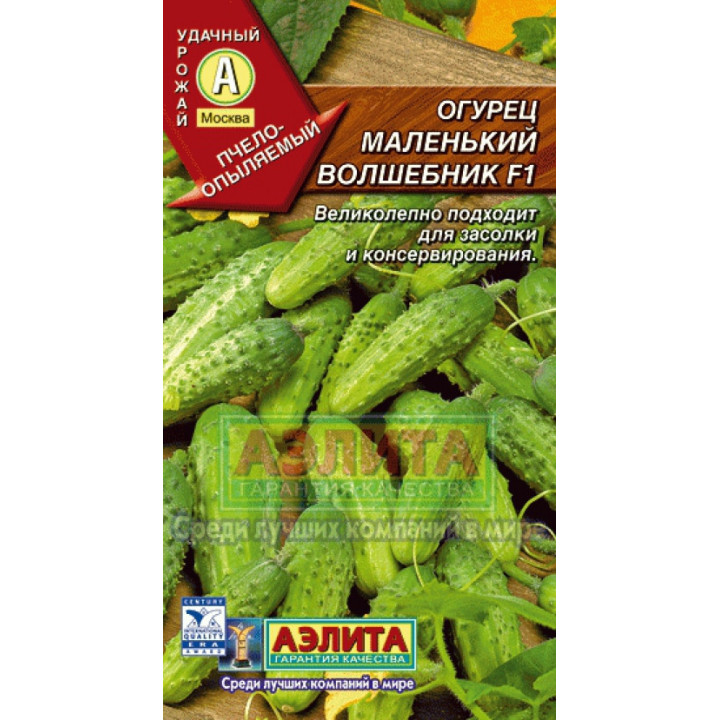 МАЛЕНЬКИЙ ВОЛШЕБНИК
