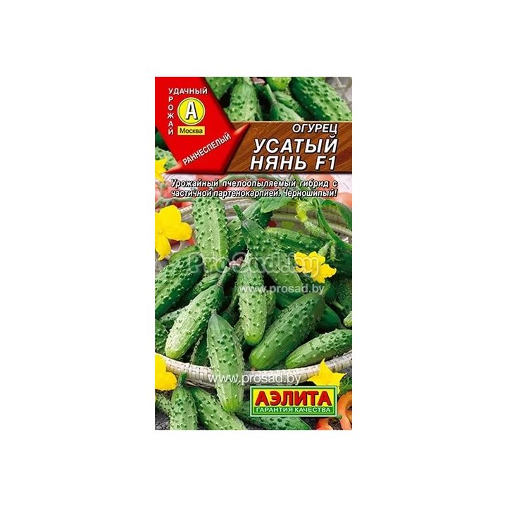 УСАТЫЙ НЯНЬ
