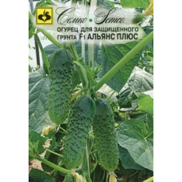 АЛЬЯНС ПЛЮС