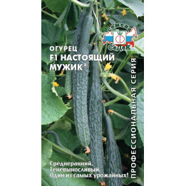 НАСТОЯЩИЙ МУЖИК