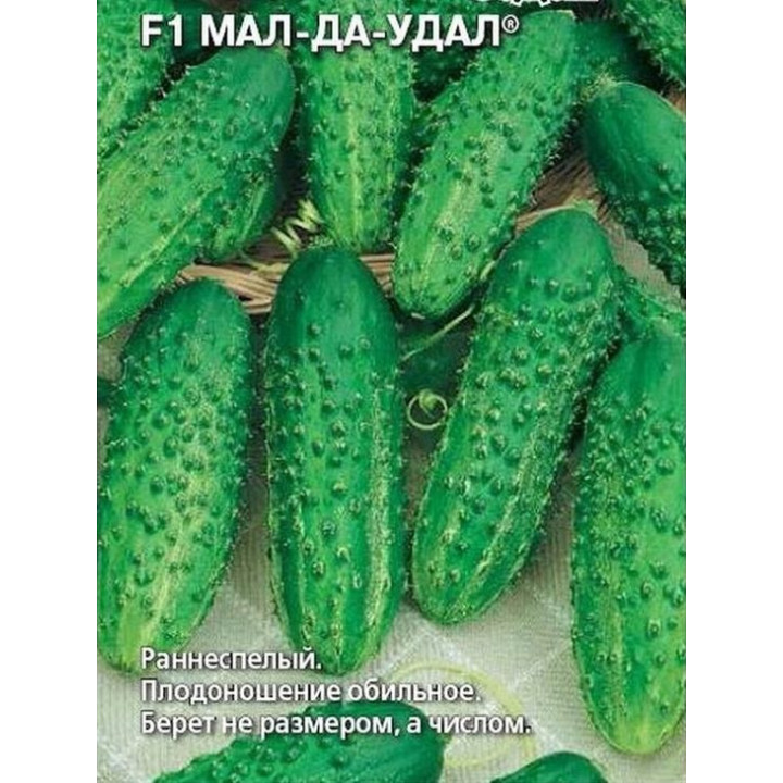 МАЛ-ДА-УДАЛ