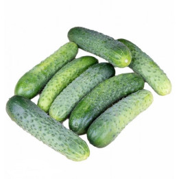 КОКУЭРОР