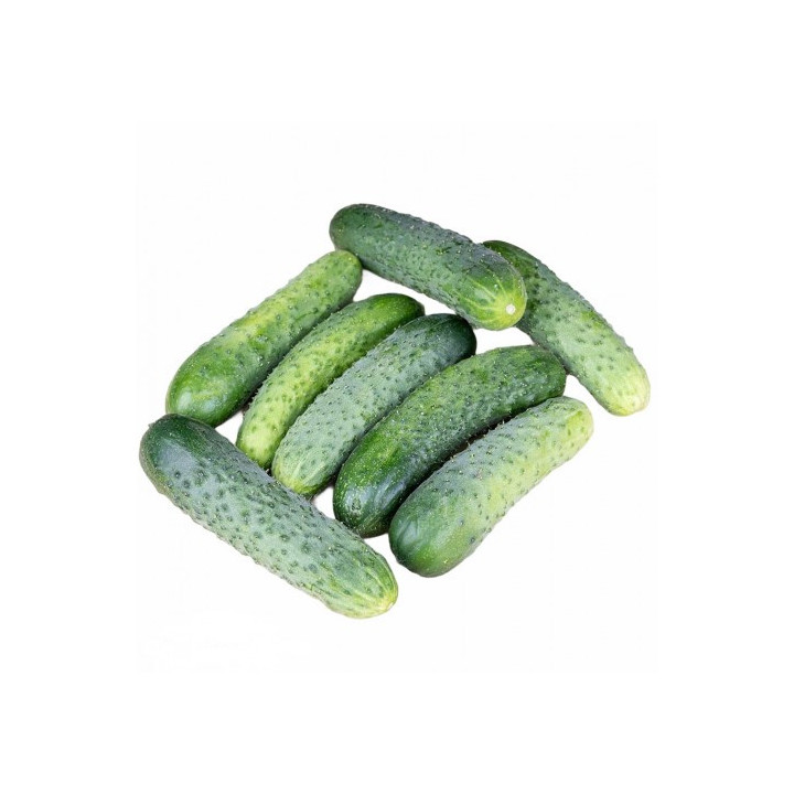 КОКУЭРОР