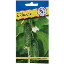 МАРШАЛ