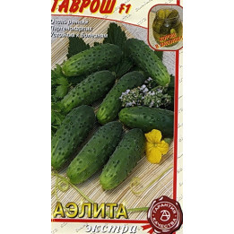 ГАВРОШ