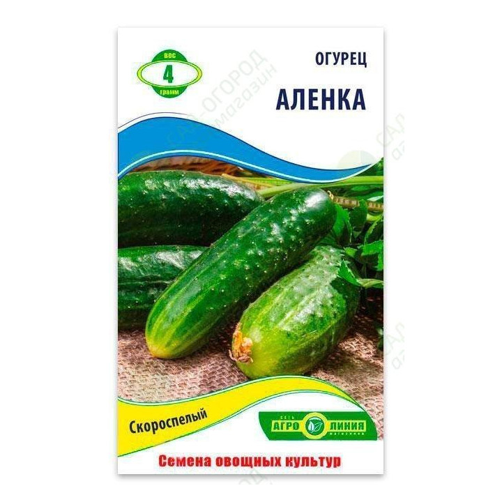 АЛЕНКА