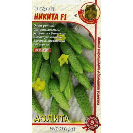 НИКИТА
