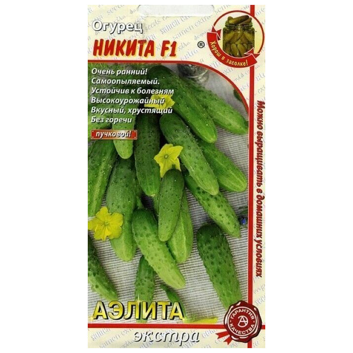 НИКИТА