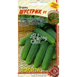 ШУСТРИК