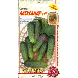 АЛЕКСАНДР