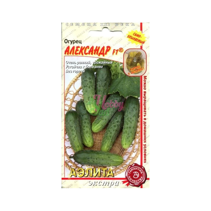 АЛЕКСАНДР