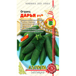 ДАРЬЯ