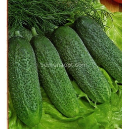 МАРИШКА