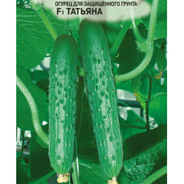 ТАНЕЧКА