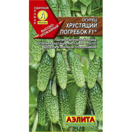 ХРУСТЯЩИЙ ПОГРЕБОК