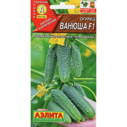 ВАНЮША