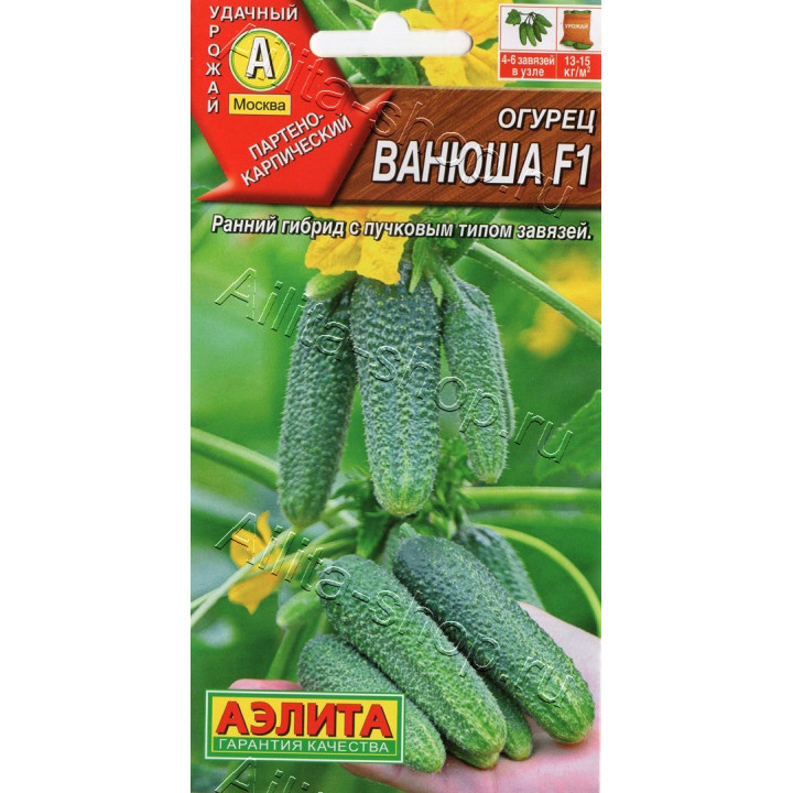 ВАНЮША