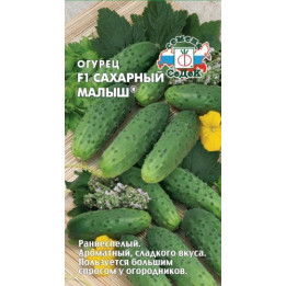 САХАРНЫЙ МАЛЫШ