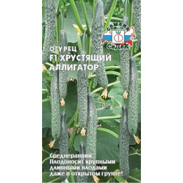 ХРУСТЯЩИЙ АЛЛИГАТОР