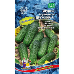 ДРУЖИНА