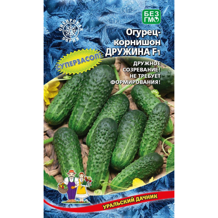 ДРУЖИНА