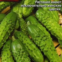 ВОЖАК