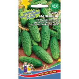 МАЛЫШОК