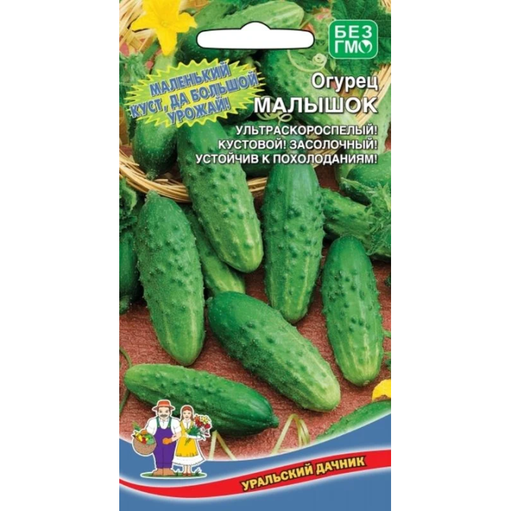 МАЛЫШОК