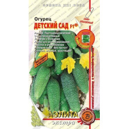 ДЕТСКИЙ САД