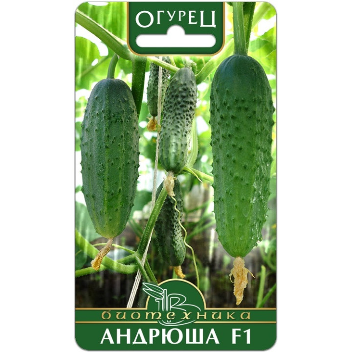 АНДРЮШКА
