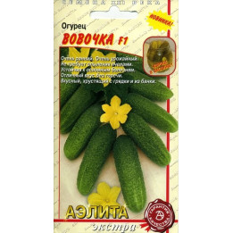 ВОВОЧКА