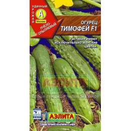 ТИМОФЕЙ
