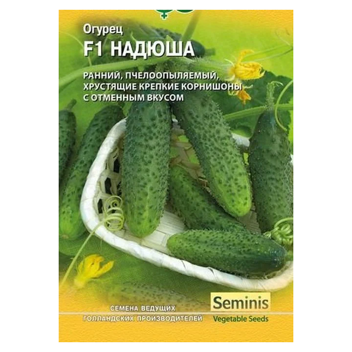 НАДЮША