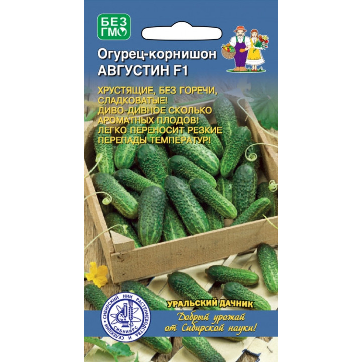 АВГУСТИН