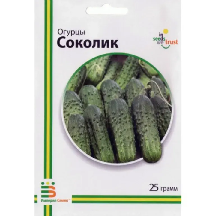 СОКОЛИК
