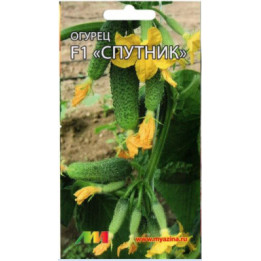 СПУТНИК