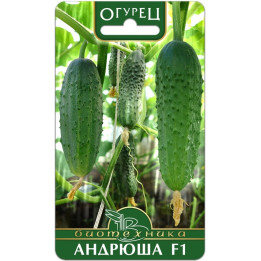 АНДРЮША