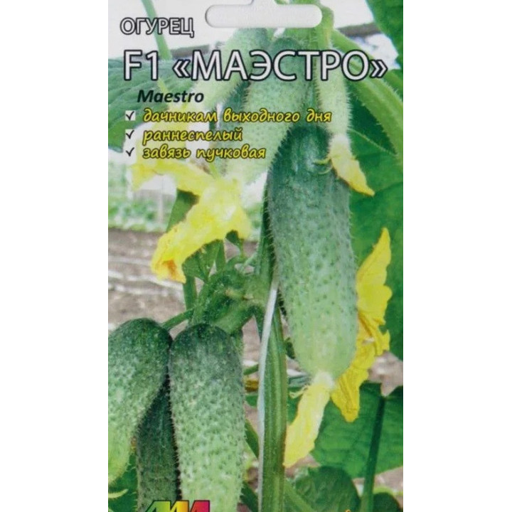 МАЭСТРО