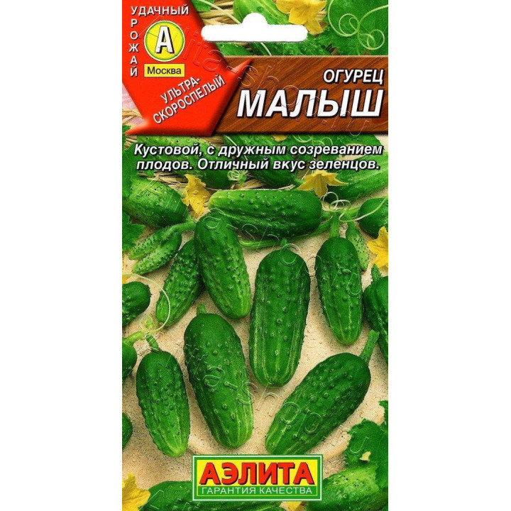 МАЛЫШ