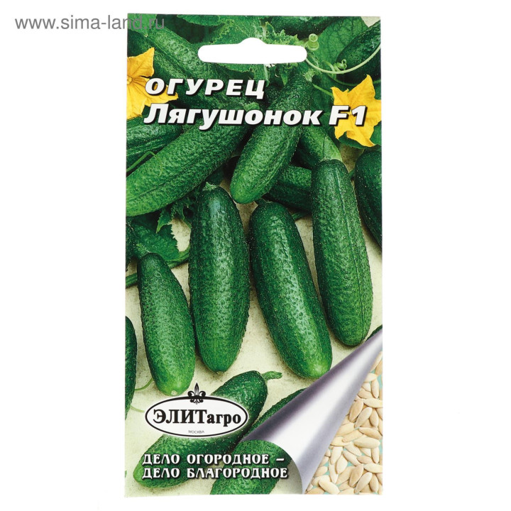ЛЯГУШОНОК