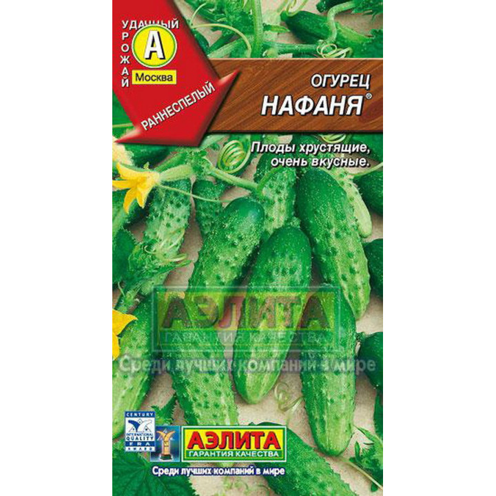 НАФАНЯ